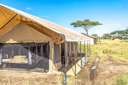 Mawe Migration Tented Camp_smallimage